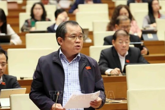 Lawmakers emphasise effective exploitation, management of rare earths