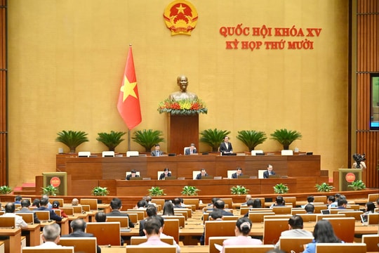 Chiều 1/12/2025, Quốc hội thảo luận ở hội trường về dự án Luật Chuyển đổi số và dự thảo Nghị quyết của Quốc hội quy định một số cơ chế, chính sách tháo gỡ khó khăn, vướng mắc trong tổ chức thi hành Luật Đất đai.