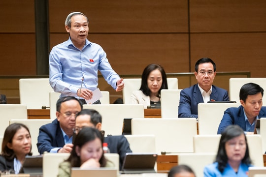 Chiều 1/12/2025: Quốc hội thảo luận tại hội trường về dự án Luật Chuyển đổi số và dự thảo Nghị quyết của Quốc hội quy định một số cơ chế, chính sách tháo gỡ khó khăn, vướng mắc trong tổ chức thi hành Luật Đất đai