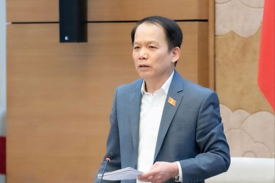 Thẩm tra dự án Luật Tòa án chuyên biệt tại Trung tâm tài chính quốc tế