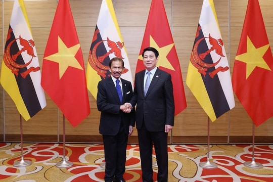 Vietnam, Brunei issue joint statement
