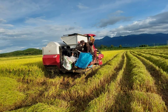 Đắk Lắk: Kinh tế tập thể, hợp tác xã giúp đồng bào dân tộc thiểu số phát triển bền vững