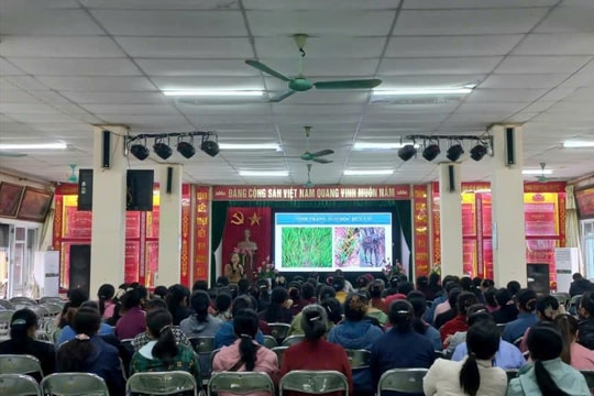 Hưng Yên tập huấn hỗ trợ học nghề và chuyển đổi nghề cho phụ nữ nghèo