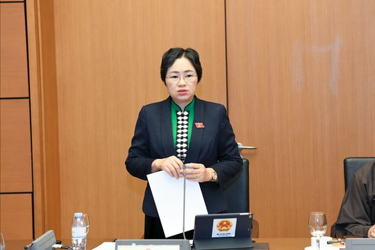 Chiều 3/12/2025: Họp tổ 11 (TP Cần Thơ và Điện Biên)