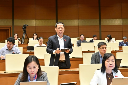 Ưu tiên nguồn lực hoàn thành mục tiêu cấp điện và bố trí dân cư vùng thiên tai
