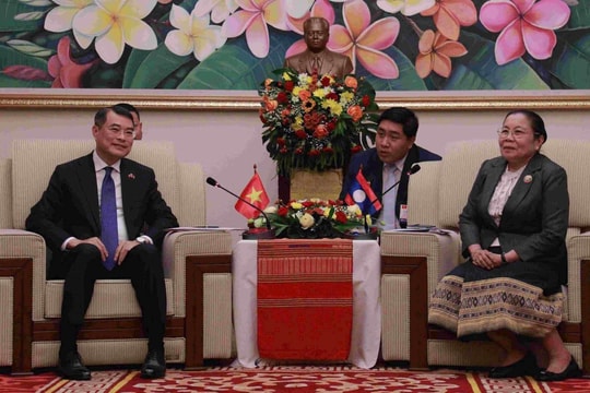 Trưởng Ban Tổ chức Trung ương Lê Minh Hưng làm việc với Trưởng Ban Tổ chức Đảng NDCM Lào
