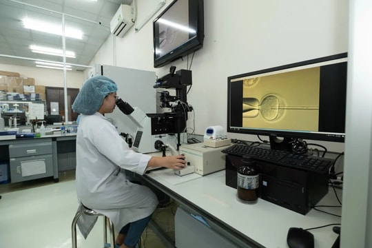 Đại học Quốc gia TP. Hồ Chí Minh chiêu mộ 20 nhà khoa học trẻ xuất sắc làm giảng viên