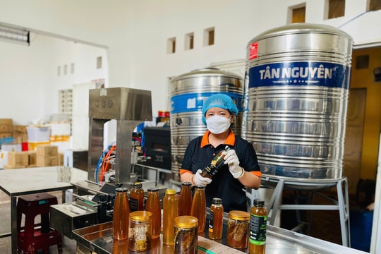 Hợp tác xã đóng vai trò nền tảng thúc đẩy sản phẩm OCOP phát triển mạnh mẽ