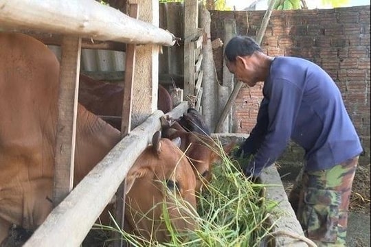 Quảng Ngãi: Chuyển mình ấn tượng trong giảm nghèo