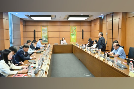 Mời thẩm phán quốc tế để nâng tầm Tòa án chuyên biệt