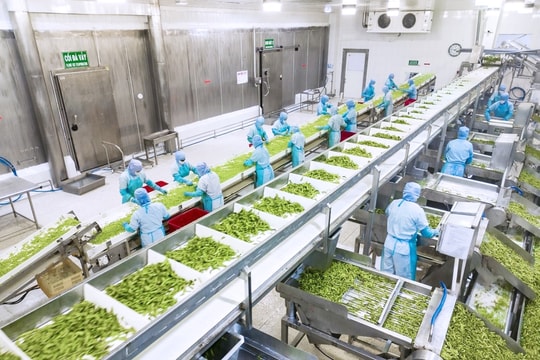 Hướng tới chuỗi giá trị bền vững