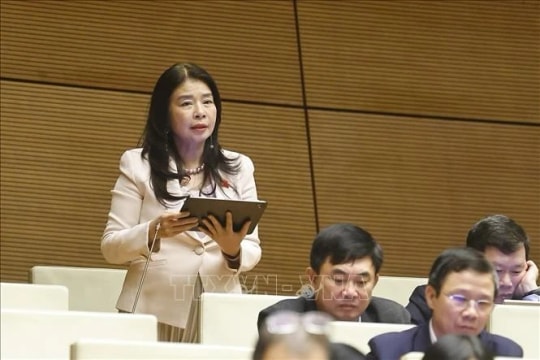 Legislature scrutinises specialised court model at int’l financial centre
