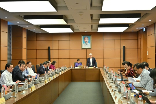 Chiều 3/12/2025, Thảo luận Tổ TP Hồ Chí Minh