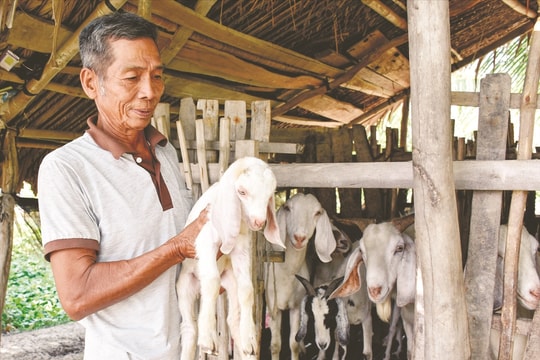 Điểm sáng trong thực hiện chính sách dân tộc ở An Giang