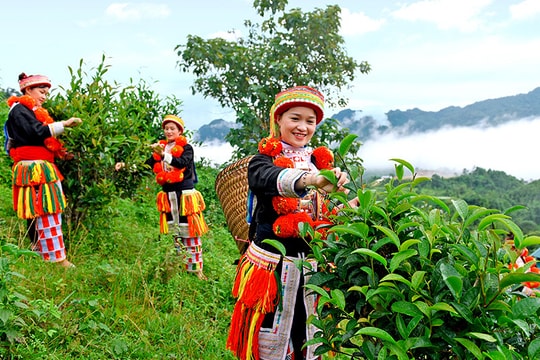 Tháo gỡ khó khăn, hỗ trợ hợp tác xã phát triển