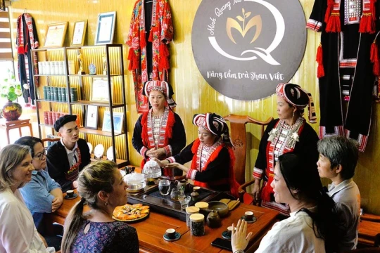 Vai trò của kinh tế tập thể tại Tuyên Quang