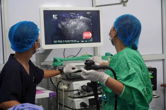 Mở ra cơ hội điều trị tiên tiến nhất cho bệnh nhân viêm tụy phức tạp bằng kỹ thuật nội soi siêu âm đặt stent LAMS