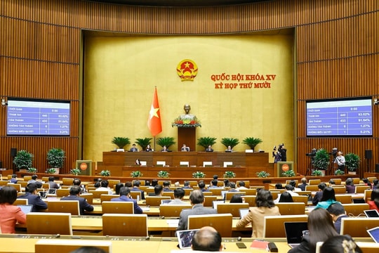 NA endorses revised Law on Planning, Law on Deposit Insurance
