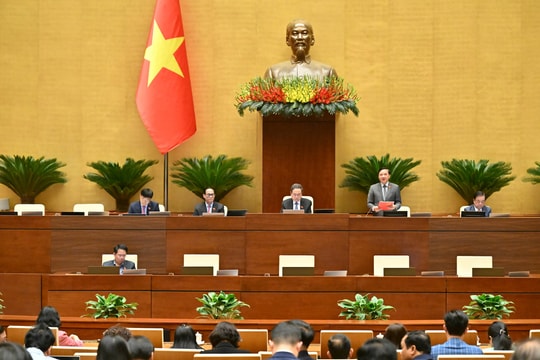 Chiều 10/12/2025, Quốc hội biểu quyết thông qua các luật