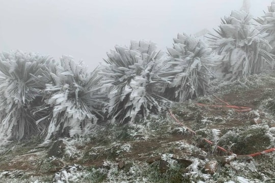 Gió mùa tràn về miền Bắc, vùng núi cao có nơi dưới 5°C