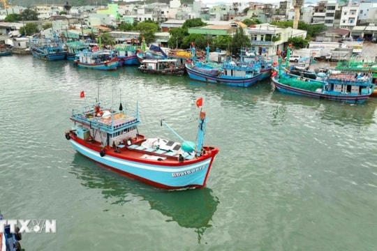 Mekong Delta intensifies efforts against IUU fishing to have EC “yellow card” lifted
