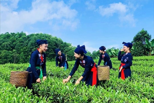 Chương trình 1322 tạo lực đẩy cho địa phương nâng cao năng suất chất lượng