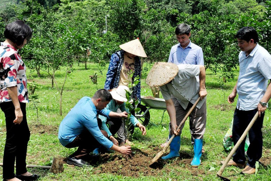 Kinh tế hợp tác kiến tạo nền nông nghiệp văn minh, hiện đại