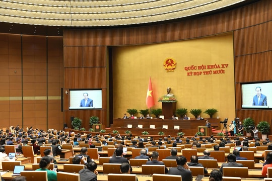 Tiếp nhận hồ sơ ứng cử ĐBQH Khóa XVI và đại biểu HĐND TP. Hồ Chí Minh nhiệm kỳ 2026-2031