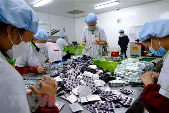 Thủ tướng kiện toàn Ban Chỉ đạo quốc gia về phát triển ngành Dược Việt Nam