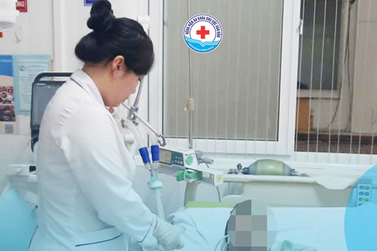 Nghi ngộ độc cá nóc, nam bệnh nhân hôn mê sâu nguy kịch