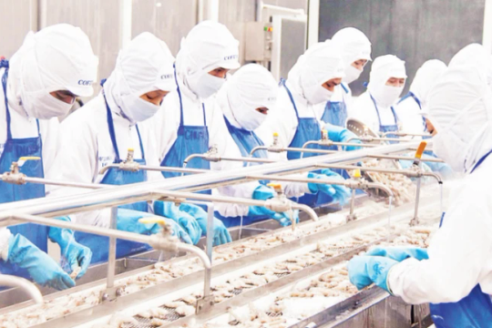 Vietnamese aquatic products reach new markets