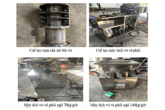 Nghiên cứu công nghệ để nâng cao giá trị cây ngô