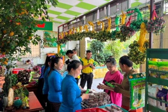 Đồng Tháp xây dựng nông thôn mới Phát triển Chương trình OCOP gắn với chuyển đổi số: Bước đột phá trong xây dựng kinh tế nông thôn