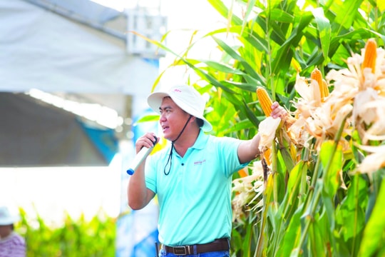 Định hướng phát triển công nghệ sinh học phục vụ các ngành kinh tế mũi nhọn