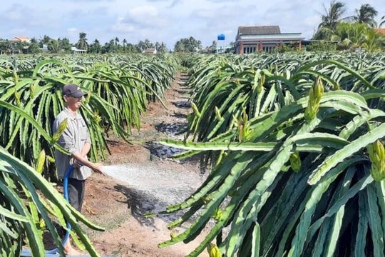 Xây dựng nông nghiệp sinh thái, nông thôn hiện đại, nông dân văn minh