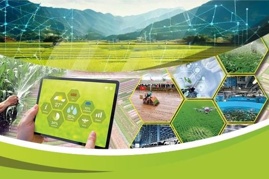 Trung tâm đổi mới sáng tạo - chìa khóa phát triển mới của địa phương