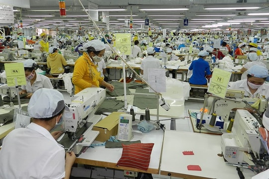 Công ty có được đóng BHXH cho nhân viên theo doanh số?