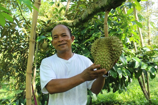 Quả ngọt giúp người dân Khánh Sơn thoát nghèo bền vững