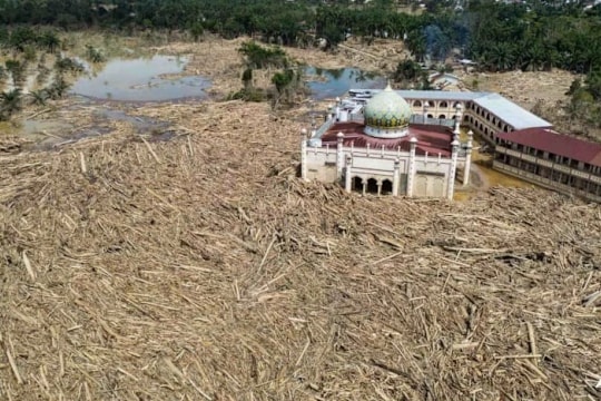 Indonesia to revoke 22 forestry permits after deadly floods in Sumatra