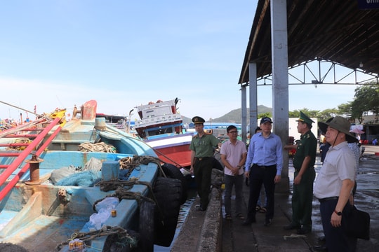 HCM City earmarks over 2.54 million USD for fisheries transition