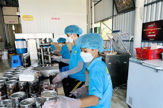 Cà Mau triển khai nhiều hoạt động hỗ trợ pháp lý cho doanh nghiệp