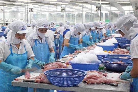 Bứt phá cuối năm, xuất khẩu thủy sản dự kiến vượt 11 tỷ USD