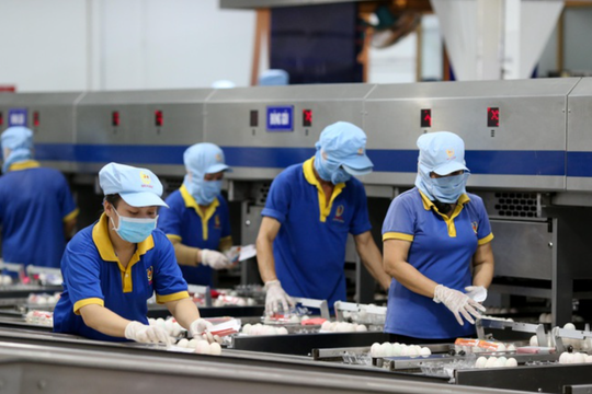 Chuyển hướng hỗ trợ pháp lý theo nhu cầu của doanh nghiệp
