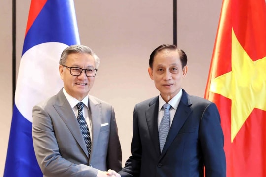 Vietnamese, Lao FMs co-chair 12th political consultation