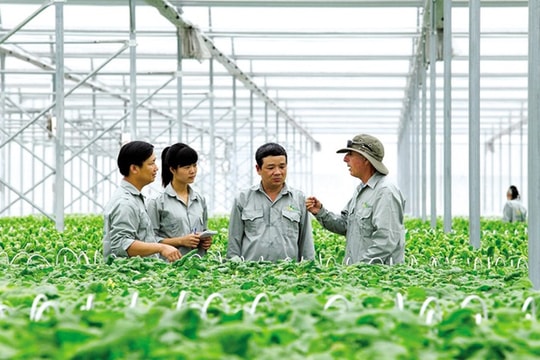 Cung cấp thông tin, bồi dưỡng kiến thức pháp luật cho doanh nghiệp