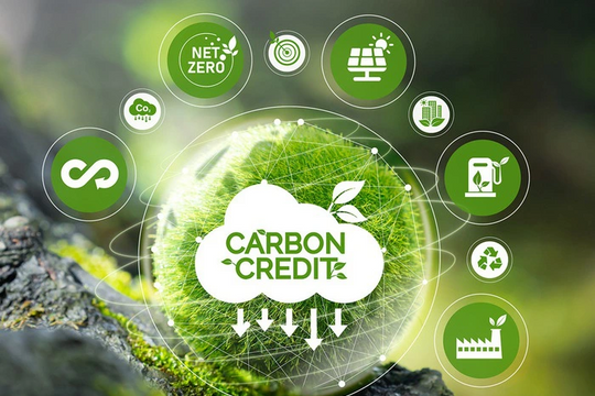 Sàn giao dịch carbon và quyết tâm phát triển xanh