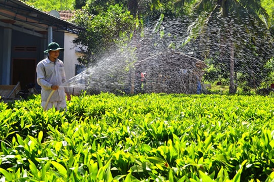 Chủ động xin thoát nghèo