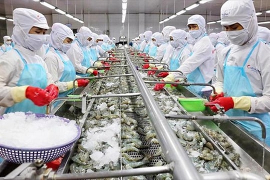 Doanh nghiệp nông - thủy sản trước thách thức thuế quan và lãi suất năm 2026