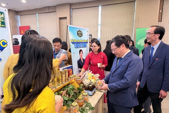 Hệ sinh thái khởi nghiệp Việt Nam bứt tốc năm 2025