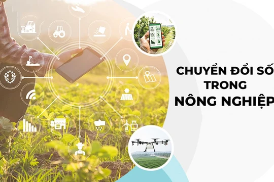 Đồng Tháp: Tăng giá trị sản phẩm nông nghiệp từ chuyển đổi số